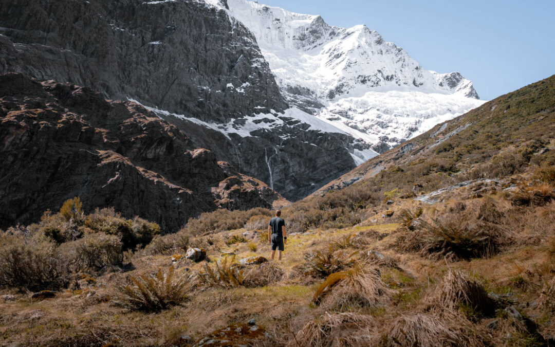 Door een paradijs naar de Rob Roy gletsjer